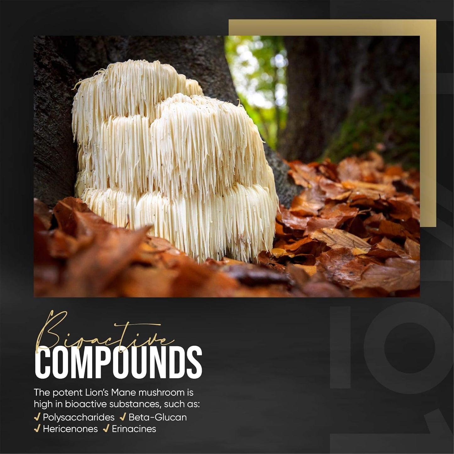 Organic Lions Mane Supplement 28,000Mg 